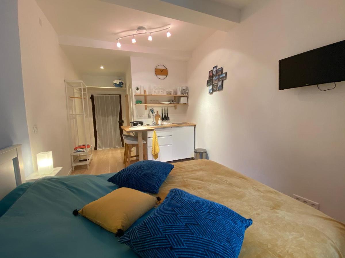 Studio Tres Agreable Proche De Auron Saint-Étienne-de-Tinée 外观 照片